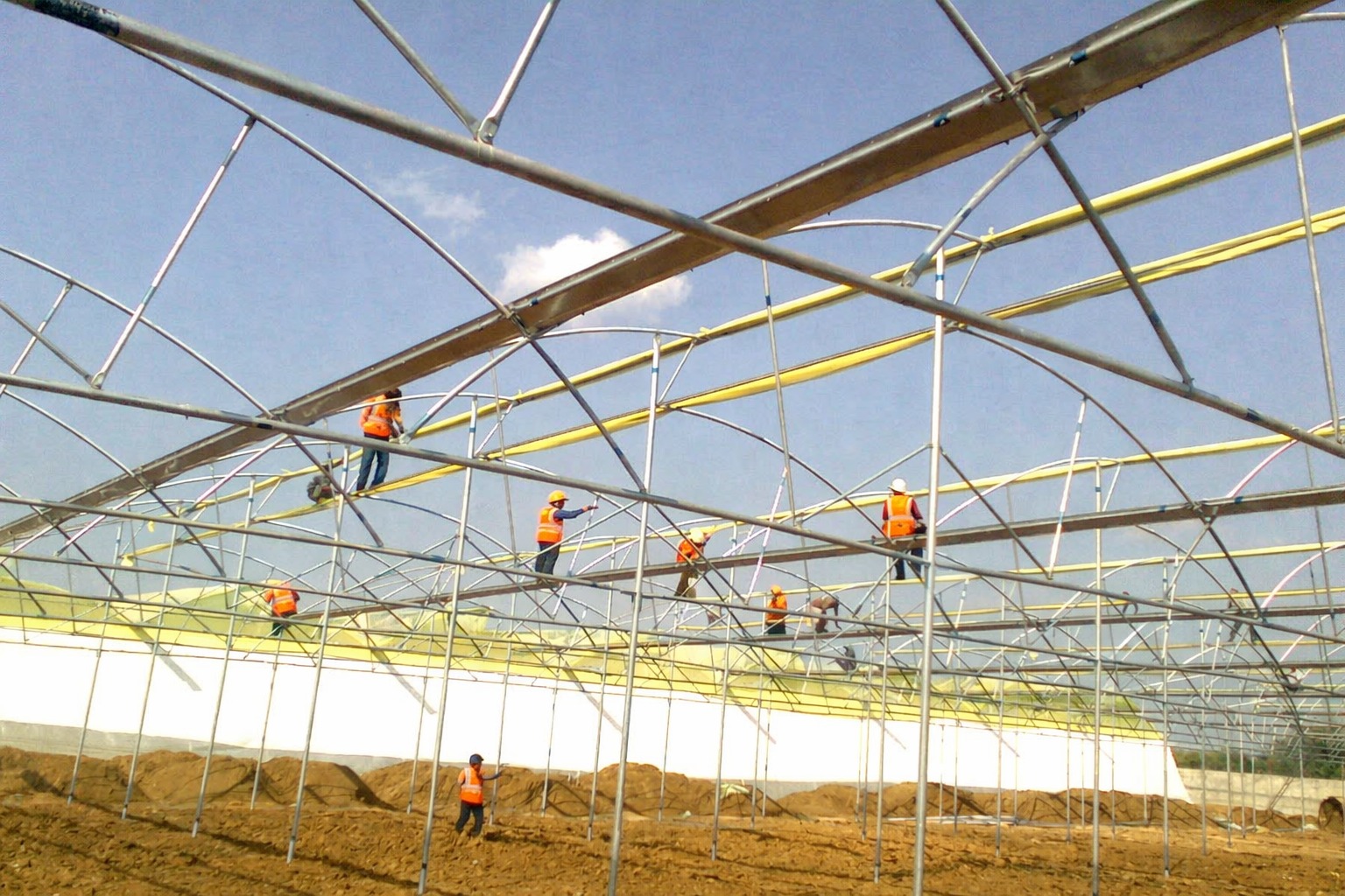 Greenhouse Project 1